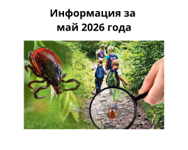 Картограмма регистрации мест укусов клещей в Дзержинском районе в мае 2026 года